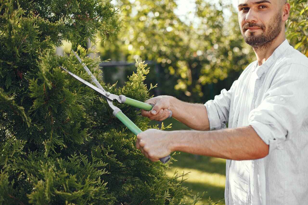  Eagle Lake, FL TreeGuard Tree Service Pros